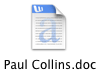 Paul Collins Articles: Collected